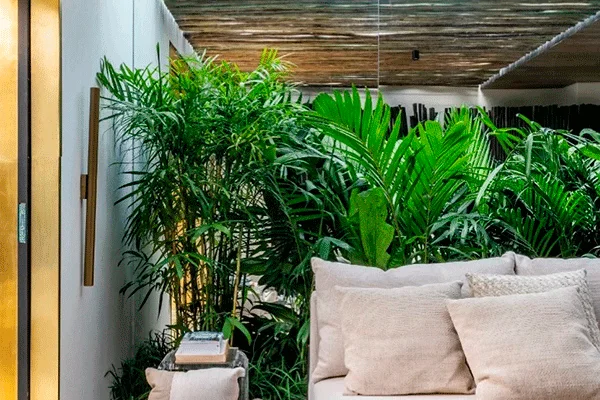 Jardim de inverno